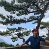 李家吉祥不老松头像
