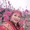 小燕子头像