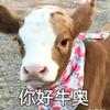 峡谷牛王头像