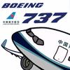 一架从广州白云机场南航BOEING737头像