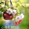 东北的头像