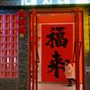 冷暖自知 淡然于心(拒私聊)头像