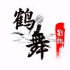 鹤舞视界头像