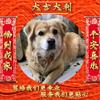 大姚县锦星驾培、少哥头像