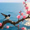 三享好剧头像