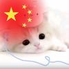 天天都是我头像