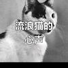 关爱流浪猫头像
