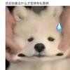 摆摊卖晚霞头像