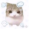 被生活抹平了妙脆角的小猫。头像