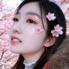 昭宁清禾头像