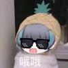 doro大学习头像