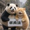 橘宝与圆滚滚头像