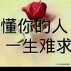 岁月风云头像
