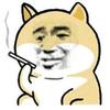阿斯兰母头像