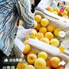 桃王头像
