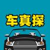 车真探头像