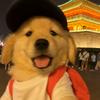 七秒的记忆头像
