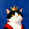 猫奇奇头像