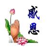 宾阳感恩有你头像