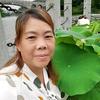 芬姐，停播学习中头像