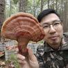 龚哥友品坊【长白山老龚哥】头像