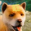 小陌头像