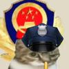 @贞尤大号头像