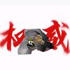 吃雞王者/我被崩坏了头像