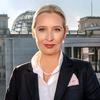 AliceWeidel_魏德尔头像