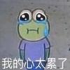 大井盖子zZ头像