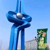 泉城济南泉甲天下头像