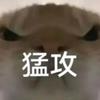 鼠鼠州头像