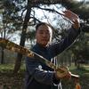 武术化鹏头像