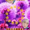 高为涛头像
