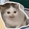 风土猫meme头像