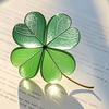 honjon头像