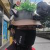 小强哥赚窝囊费头像