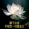 笑对人生头像