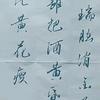 书法爱好者头像