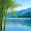 多情的锦秀山河头像
