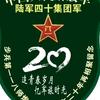 飞鹰头像