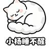 小杨睡不醒1头像