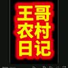王哥农村日记(主页有群)头像