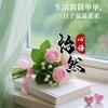 怡然心语头像