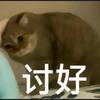 阿鱼头像