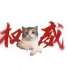 猫meme搞笑小剧场头像