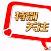 君子兰（小号）头像