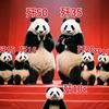 蓝领666头像