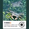 濒生有光头像