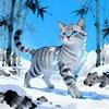 小冷猫2(即将小学毕业)头像